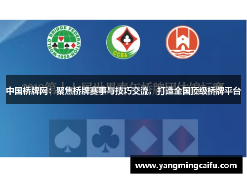 中国桥牌网：聚焦桥牌赛事与技巧交流，打造全国顶级桥牌平台