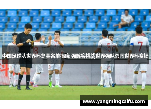 中国足球队世界杯参赛名单揭晓 强阵容挑战世界强队勇闯世界杯赛场